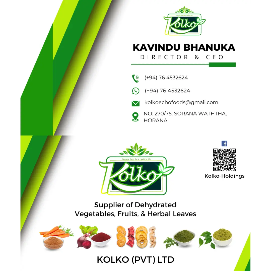 Kolko Business card Design